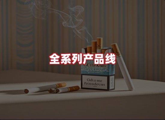 专业团队